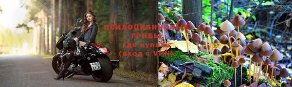 бутират Магас