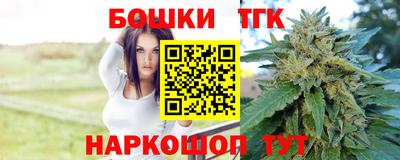 индика Абакан