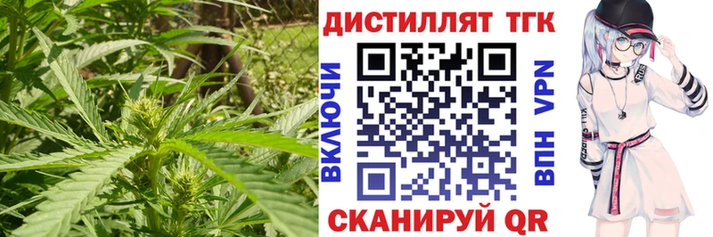 Дистиллят ТГК концентрат  Орск 