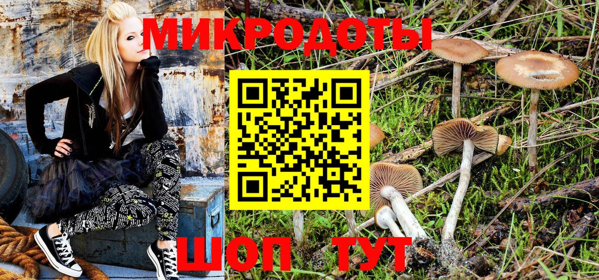 Галлюциногенные грибы мицелий  Орск  Псилоцибиновые грибы MAGIC MUSHROOMS 